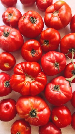 Ελληνικές ντομάτες_Greek Tomatoes